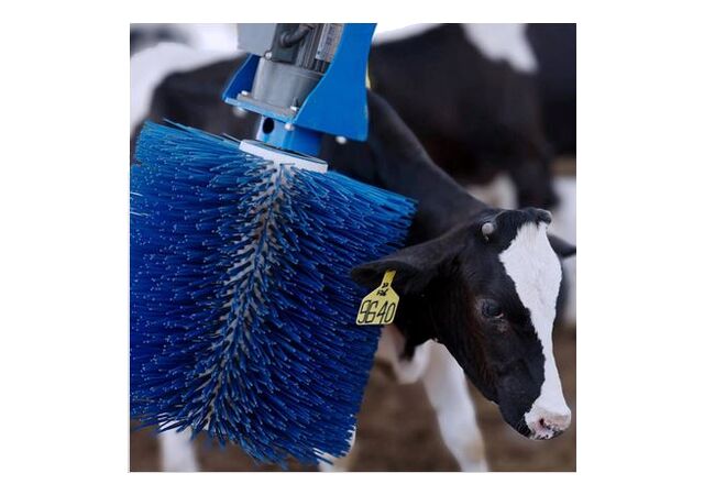 Elektriline automaatikaga sügamishari, Sveaverken